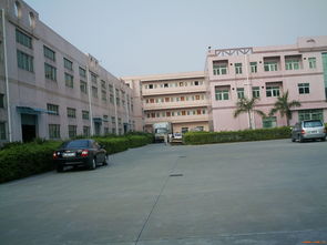 深耕莞邑，服務灣區——深圳市伙伴房地產經紀東莞分公司產品展示與物業管理